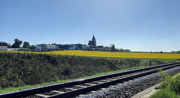 20250428_165235.jpg